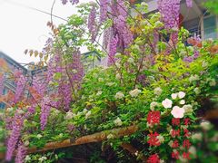 -两河城市森林公园