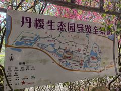 -丹樱生态园