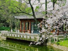 -南京古林公园
