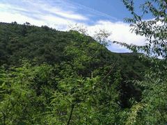 android_upload_pic-十三陵水库