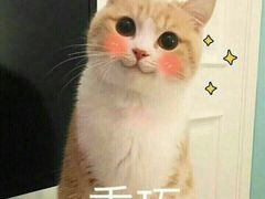 -老头儿油爆虾(星光一期店)