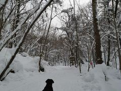 -雪谷