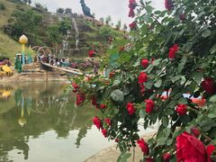 -都江堰玫瑰花溪谷