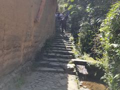 -杨家堂村