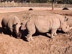 -鄂尔多斯野生动物园