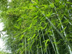-汇龙潭