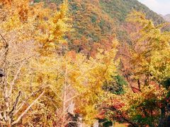-丹山赤水风景名胜区
