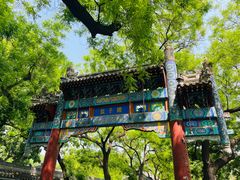 -北京国子监胡同