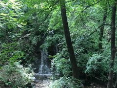 -天女山森林公园