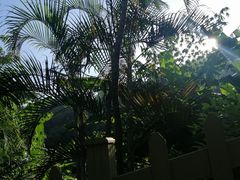 -广东惠东海龟国家级自然保护区