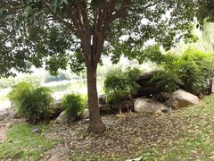 -木塔寺遗址生态公园