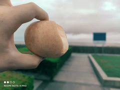 -南汇新城海滩