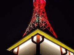 -金鸡山公园