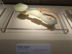 -旅顺博物馆