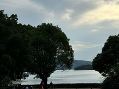 -逸廊大堂吧-下午茶·简餐-千岛湖自由洲际殿