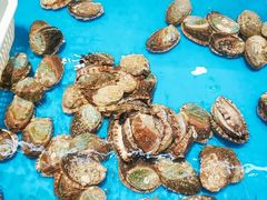 -万宝海鲜舫(劳动公园店)