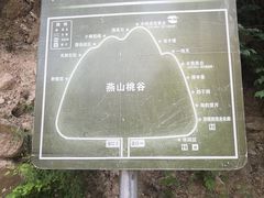 -大岭沟猕猴桃谷风景区