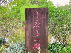 -桂湖森林公园