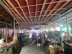 -将军关探险漂流