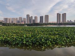 -月湖风景区