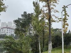 -四里河滨水生态公园