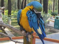 -北京野生动物园