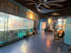 -海合安武汉极地海洋公园