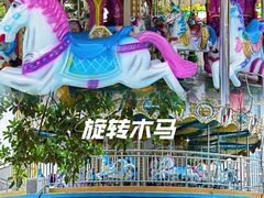 -东湖公园游乐场