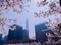 -泰丰公园