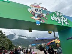 -百菇园野生菌煲(平武店)