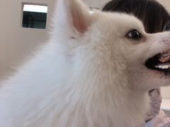 -怪兽屋·羊驼·猫咖·狗咖(俊华广场店)