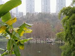 -重庆彩云湖湿地公园