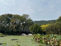 -九曜山