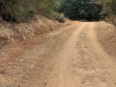 -黄埔油麻山森林公园