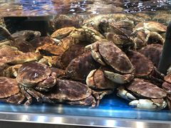 -盒马X会员店(王府井奥莱UP TOWN店)