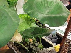 -新辣道鱼火锅(上地华联店)