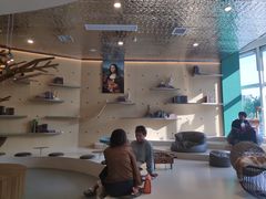 -飞行喵MR PILOT|猫舍·猫咖(静安大融城店)