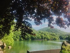 -白马涧龙池景区
