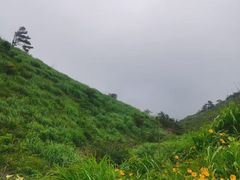 -九宫山风景区
