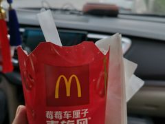 -麦当劳(欧亚大观商都店)
