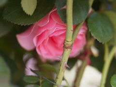 -长春公园(普阳街道)