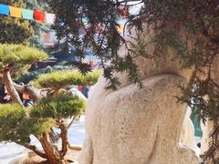 -西安市广仁寺