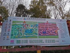 -上海海湾国家森林公园