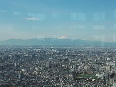 -东京都厅舍