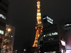 -东京塔海贼王主题公园