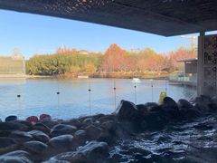 -春晖园度假酒店温泉