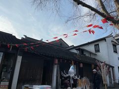 -张家港凤凰山景区恬庄古街