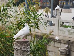 -重元寺