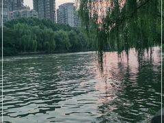 -运河游船(武林门码头)