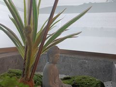 -华夏良子·足道SPA养生(上海崮山路明悦店)